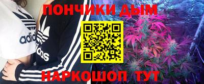 jwh Будённовск