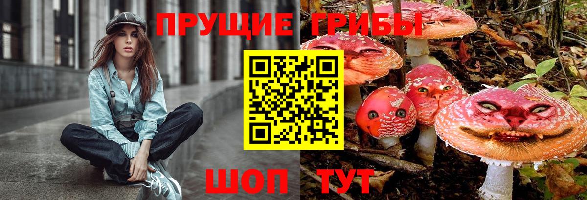 Псилоцибиновые грибы Psilocybine cubensis  Вход с VPN  Североморск  Псилоцибиновые грибы Magic Shrooms 